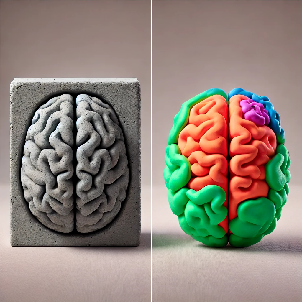 A side-by-side comparison image: one side shows a rigid brain encased in a cement block, and the other side shows a flexible, vibrant brain made of Play-Doh, emphasizing the contrast between fixed and growth mindsets.